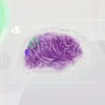 digitised image of a brain to represent AI